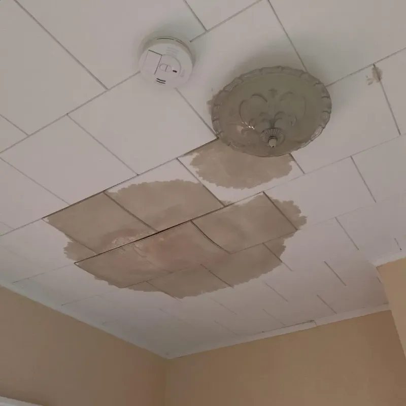 Ceiling Water Damage Repair in Wisconsin Dells, WI