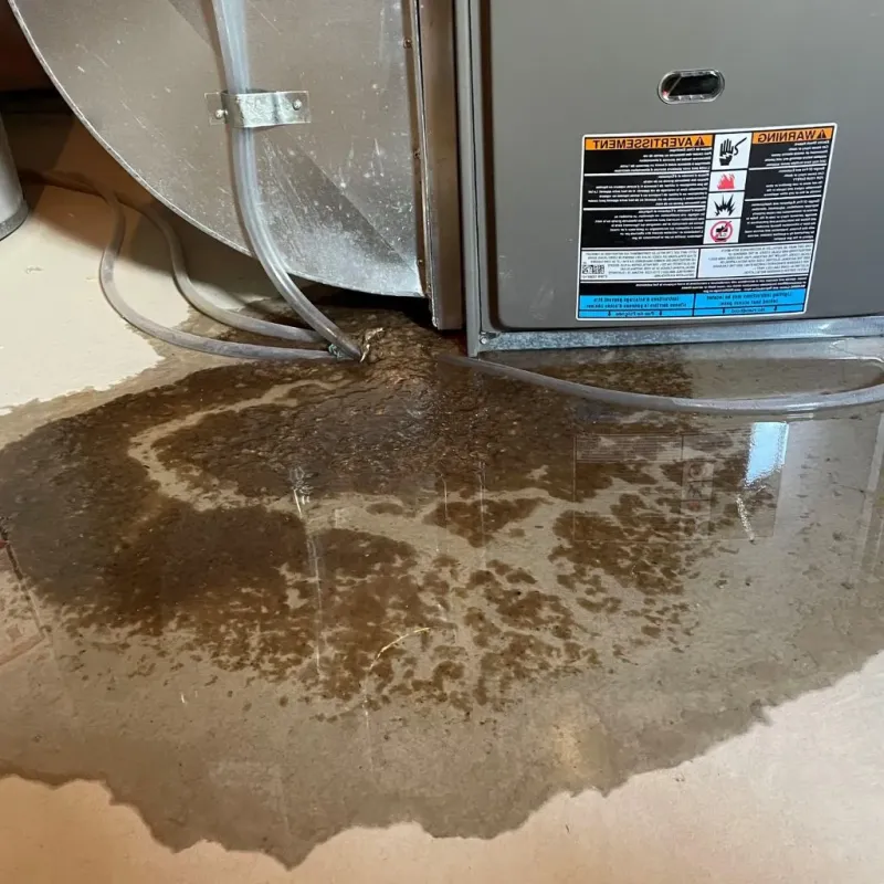 Pipe Burst and Leak Restoration in Wisconsin Dells, WI